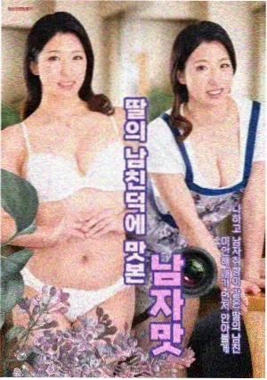 玫瑰物语 电视剧 2025
